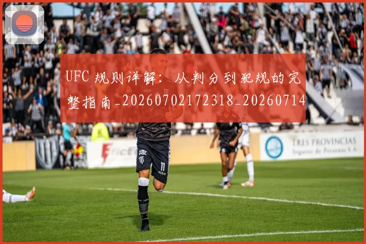UFC 规则详解：从判分到犯规的完整指南_20260702172318_20260714215857