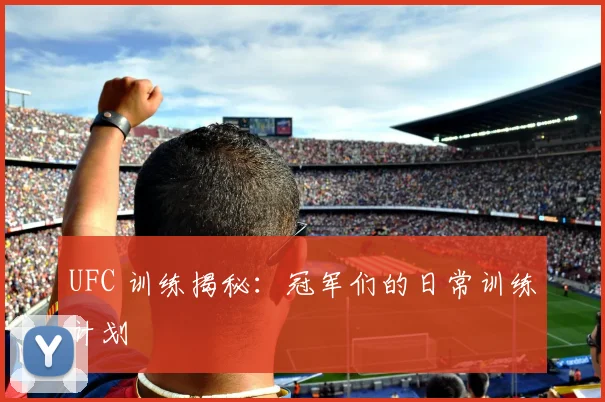 UFC 训练揭秘:冠军们的日常训练计划
