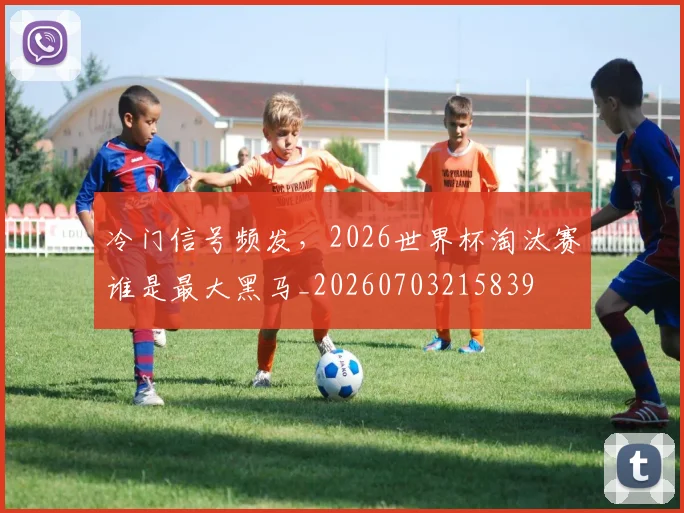 冷门信号频发,2026世界杯淘汰赛谁是最大黑马_20260703215839